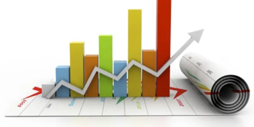 Plan de acción comercial 2014